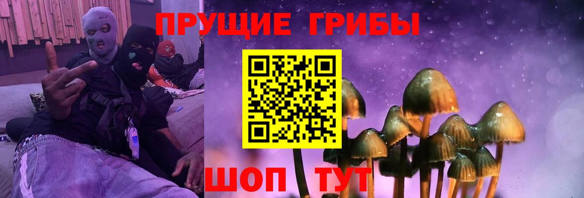 что такое   Галлюциногенные грибы Psilocybe  Вход с VPN  Тавда 