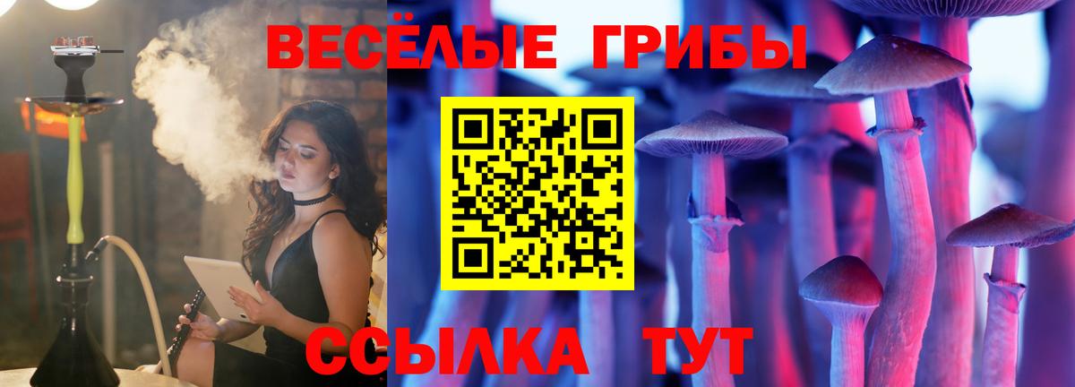 Галлюциногенные грибы прущие грибы Тавда